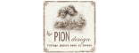 pion_design
